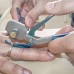 Устройство для разрезания колец и ювелирных изделий при травмах и отеках пальцев рук